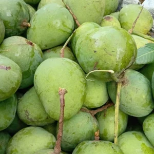 হিমসাগর (20 কেজি)
